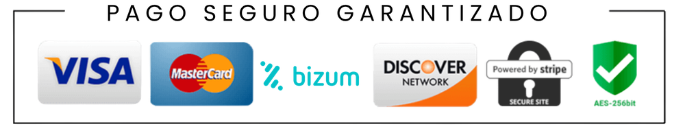 pago seguro